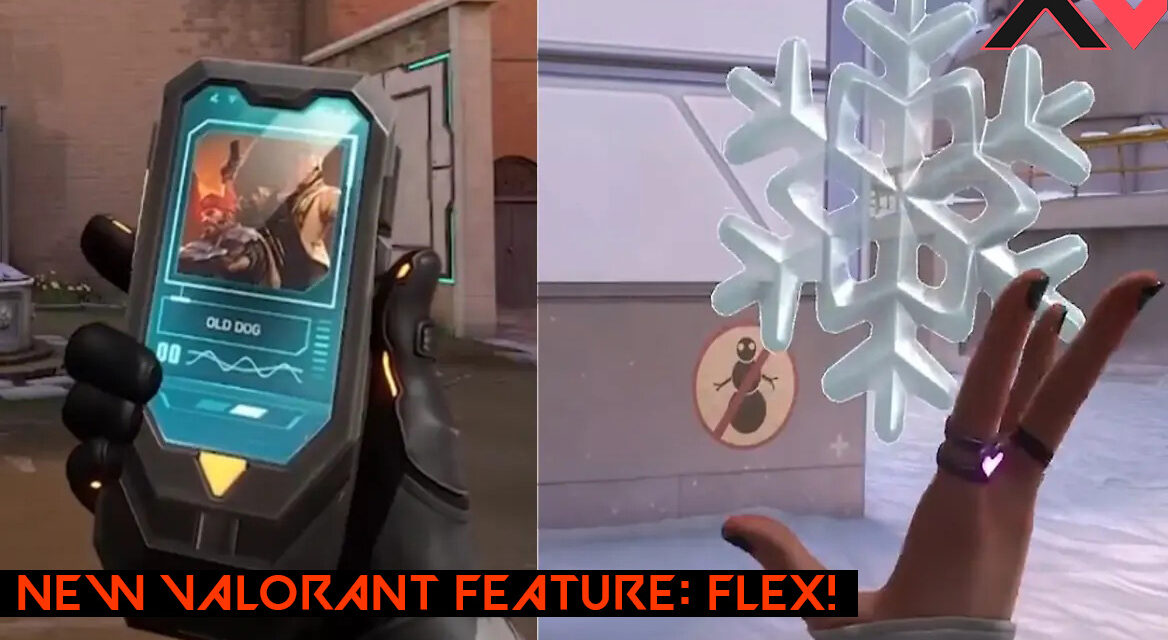 Valorant’s New Feature: Valorant Flex  A Unique In-Game Gadget!
