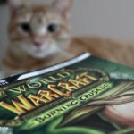 Origins of WoW: Plague, Leeroy Jenkins, and the Online Chaos That Made the Game Legendary